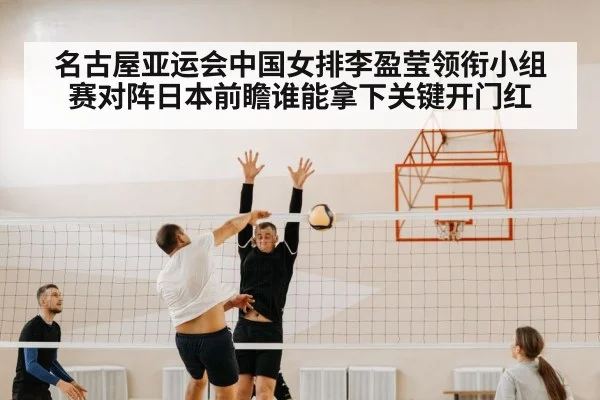volleyball net block defense