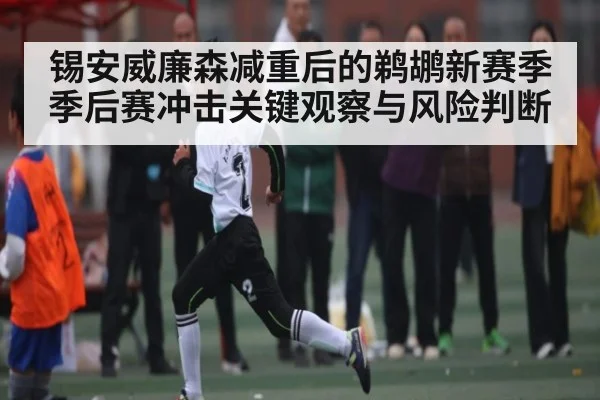 锡安威廉森减重后的鹈鹕新赛季季后赛冲击关键观察与风险判断（kaiyun）