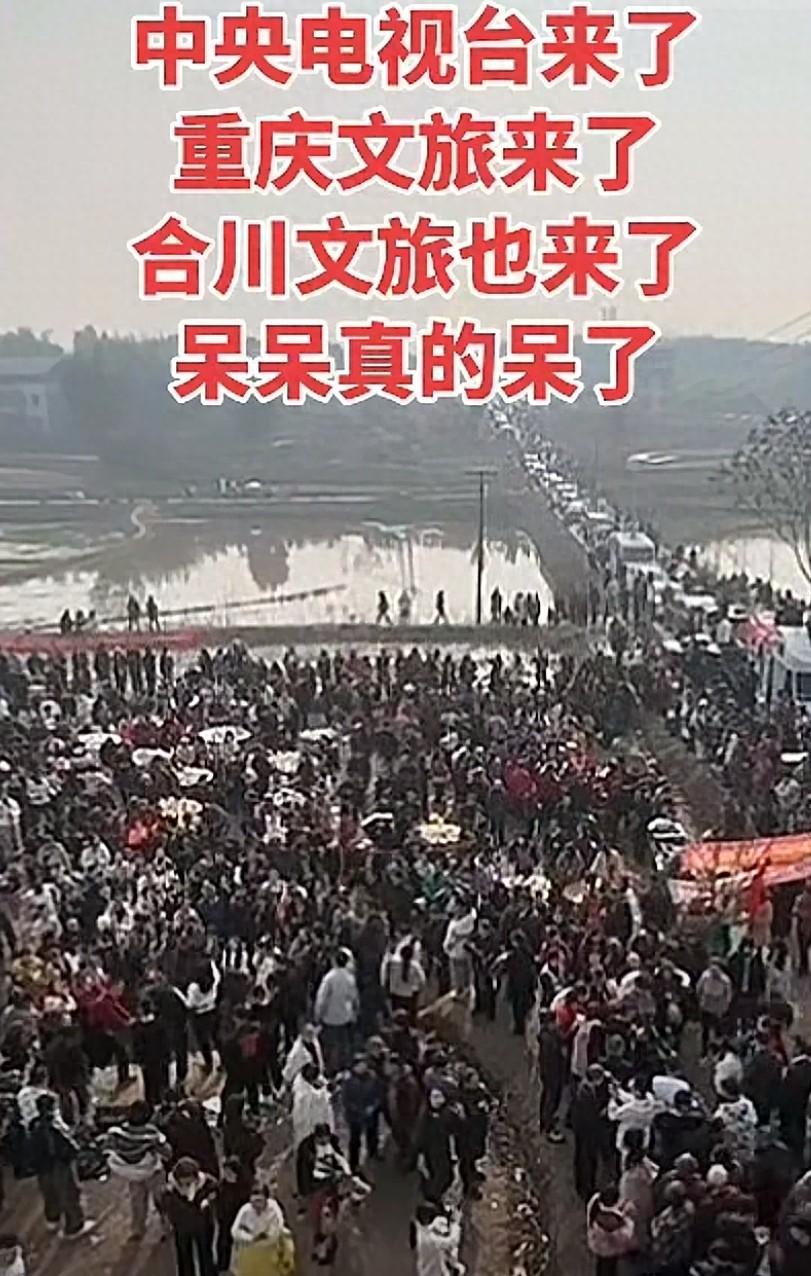 央视车被堵外面,人民日报下场,白衬衫守护,呆呆成为历史第一人