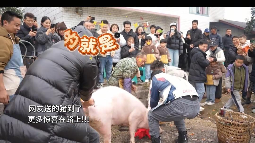 央视车被堵外面,人民日报下场,白衬衫守护,呆呆成为历史第一人