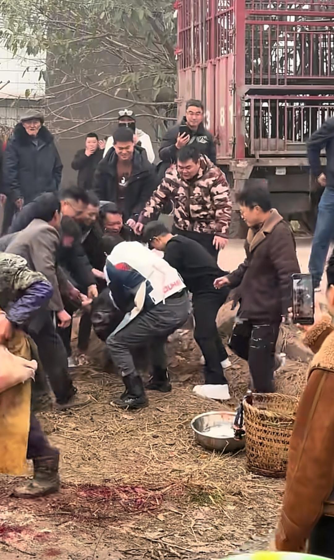 央视车被堵外面,人民日报下场,白衬衫守护,呆呆成为历史第一人