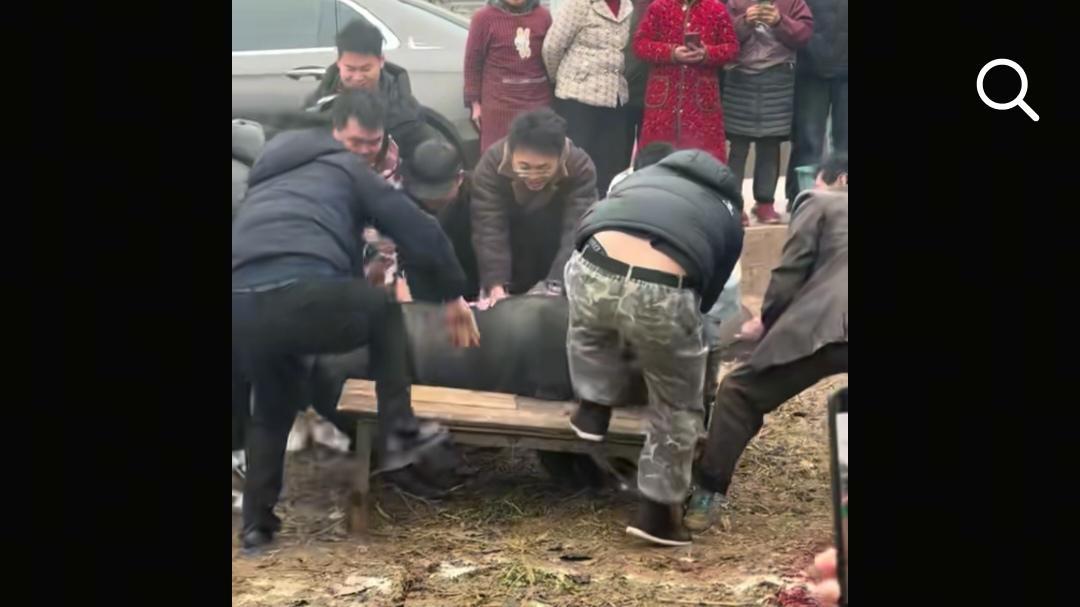 央视车被堵外面,人民日报下场,白衬衫守护,呆呆成为历史第一人