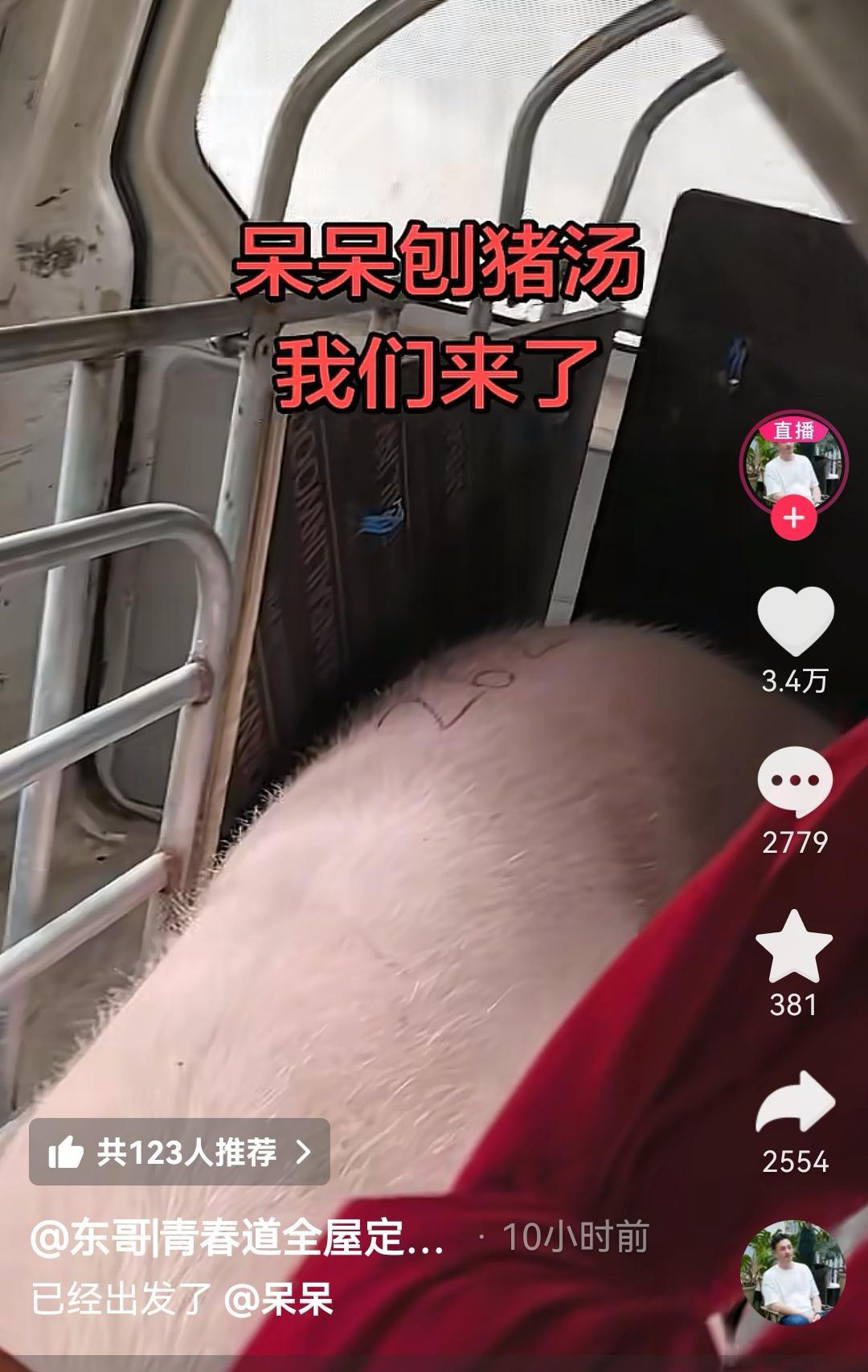 央视车被堵外面,人民日报下场,白衬衫守护,呆呆成为历史第一人