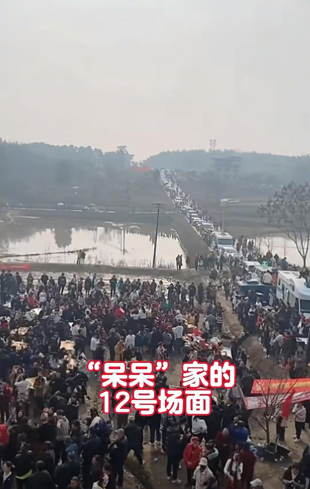 央视车被堵外面,人民日报下场,白衬衫守护,呆呆成为历史第一人